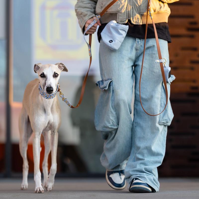 Gruszki w diecie psa