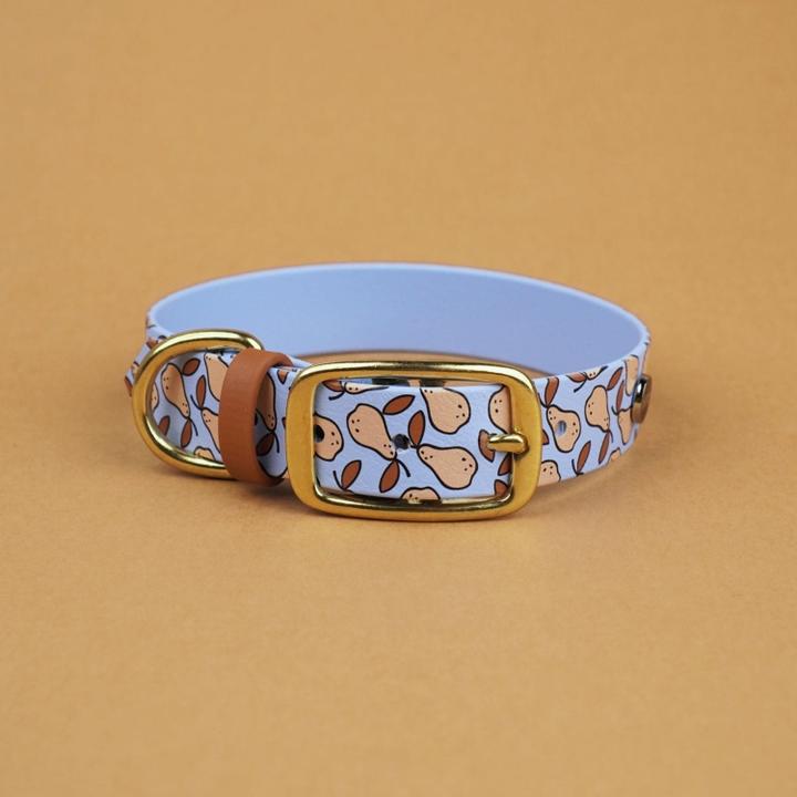 Jak wprowadzić gruszki psu