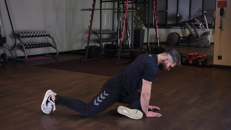 Praktyczne porady dla hodowców gołębi