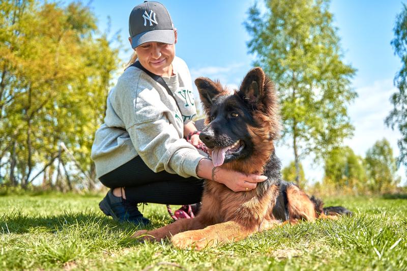 Trening szczeniaka krok po kroku