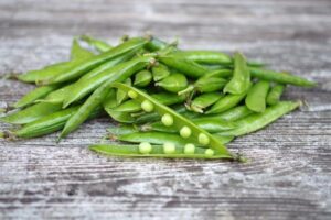 Bezpieczne karmienie psa: czy zielony groszek to dobry wybór?