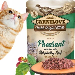 Carnilove – sprawdź, czy to naprawdę najlepsza karma dla twojego psa według opinii klientów