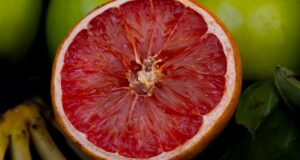 Grapefruit i Psy: Co Musisz Wiedzieć O Cytrusach Dla Swojego Pupila?