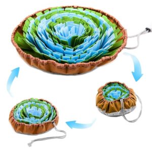 Kluczowe umiejętności dla szczeniaka, które zapobiegną problemom w przyszłości