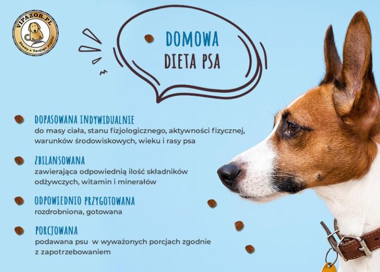 Odpowiednia dieta dla dorosłego psa: Czy karmienie szczenięcą karmą to dobry pomysł?