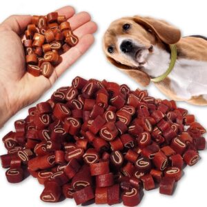 Sushi na talerzu pupila? Sprawdź, czy pies może jeść sushi i poznaj zasady bezpiecznego karmienia!