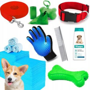 Wyprawka dla psa: kluczowe akcesoria, które musisz mieć przy sobie