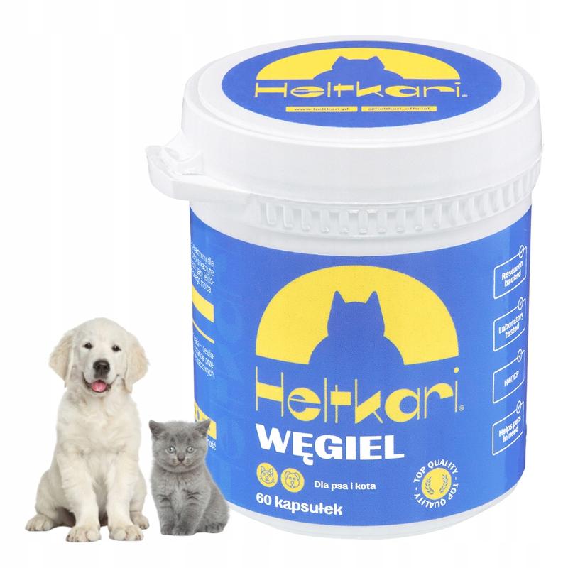 Bezpieczeństwo podawania węgla psom