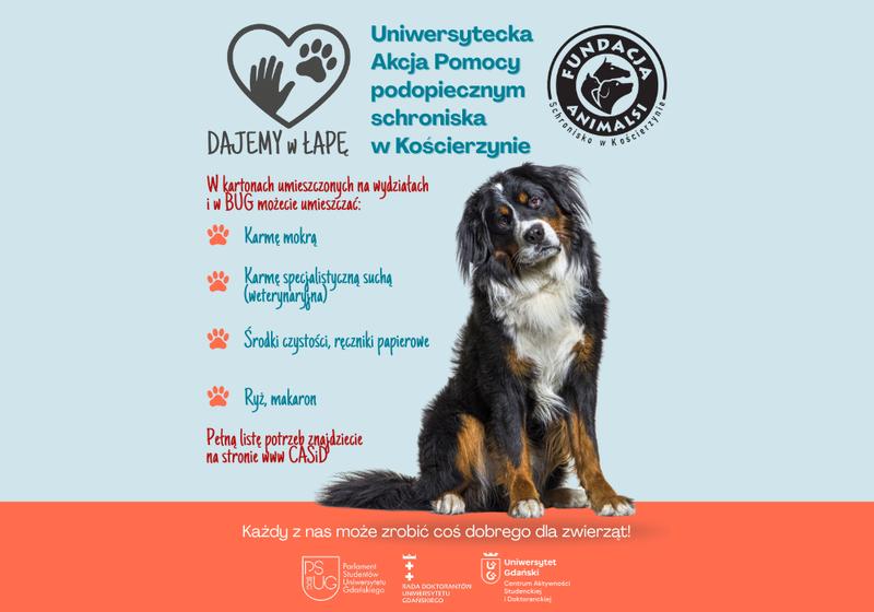 Bezpieczne żywienie psa