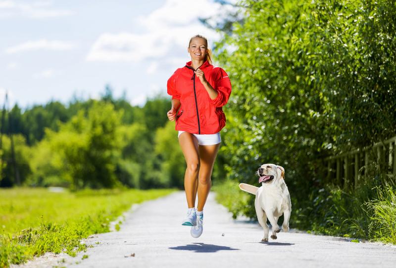Czas trwania spaceru z psem