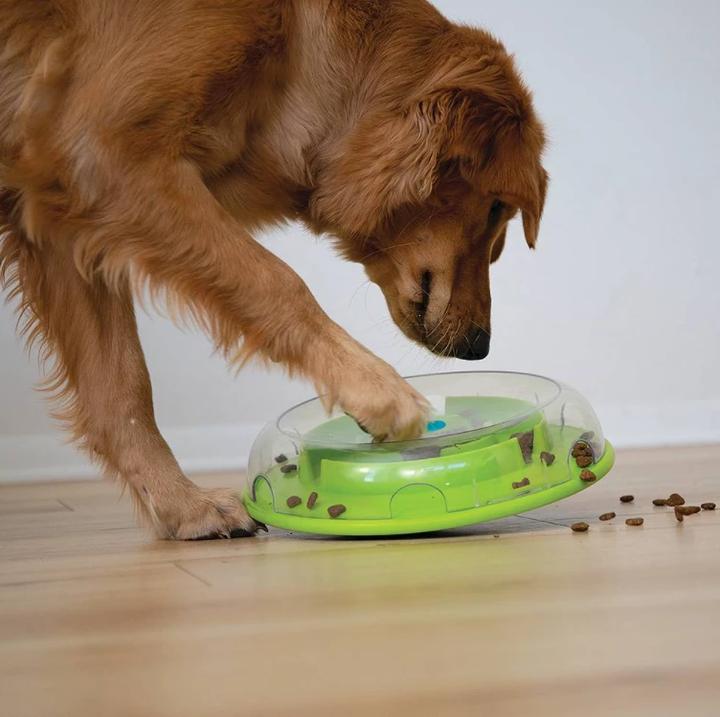 Technologia i aplikacje dla psów