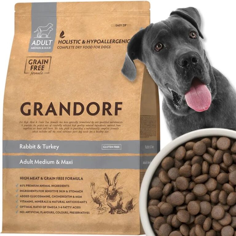 Czy sucha karma to wystarczająca dieta dla psa? Odkryj prawdę i jej skutki