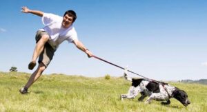 Ile spacerów dziennie potrzebuje pies? Odkryj zaskakujące fakty!