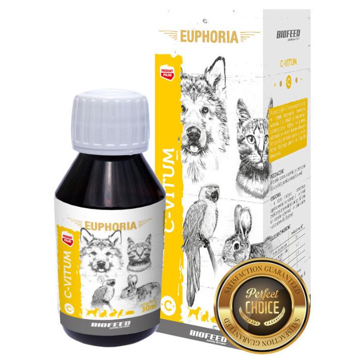 Jak bezpiecznie suplementować witaminę C u psa? Sprawdź, co musisz wiedzieć