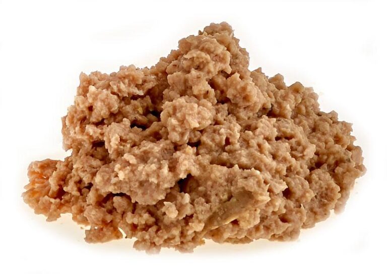 Mokra karma dla kota a zdrowie psa – co musisz wiedzieć?