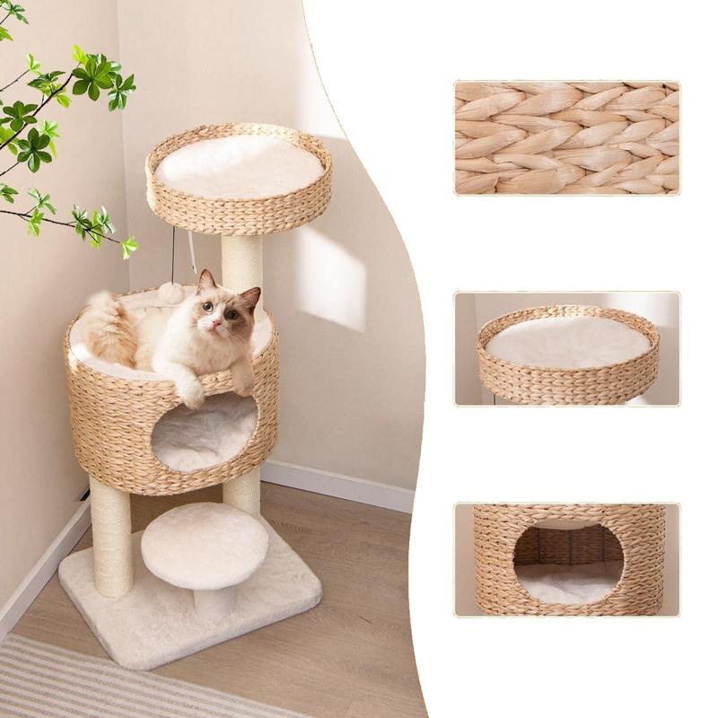 Sposoby na to, jak nauczyć kota spania w legowisku – unikaj typowych błędów!