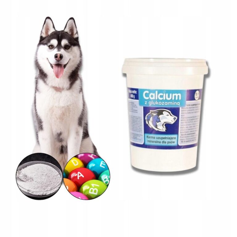 Wybór odpowiedniego wapna dla psa – zadbaj o zdrowie i mocne kości swojego pupila