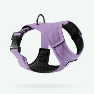 Wybór szelek dla szczeniaka: klucz do komfortu i bezpieczeństwa Twojego pupila