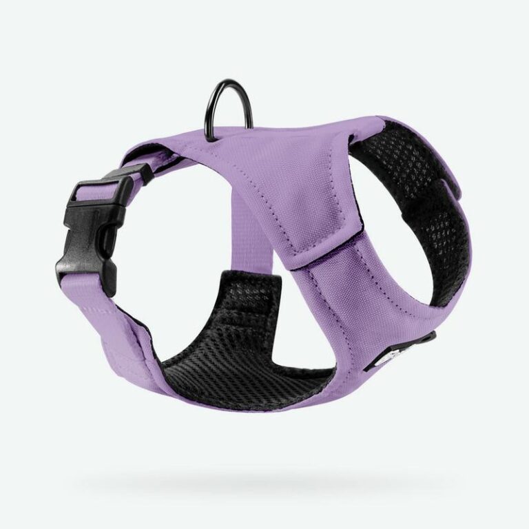 Wybór szelek dla szczeniaka: klucz do komfortu i bezpieczeństwa Twojego pupila