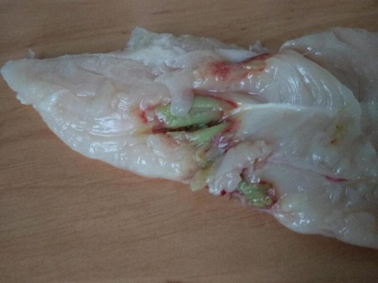 Zepsute mięso a zdrowie psa – jakie zagrożenia czyhają i co robić?