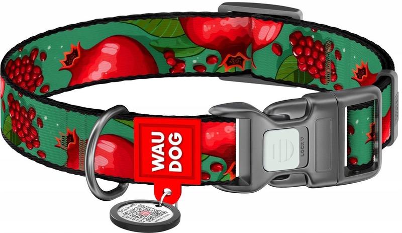 Bezpieczeństwo żywieniowe psów