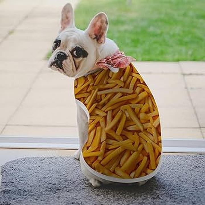 Czy psy mogą jeść frytki