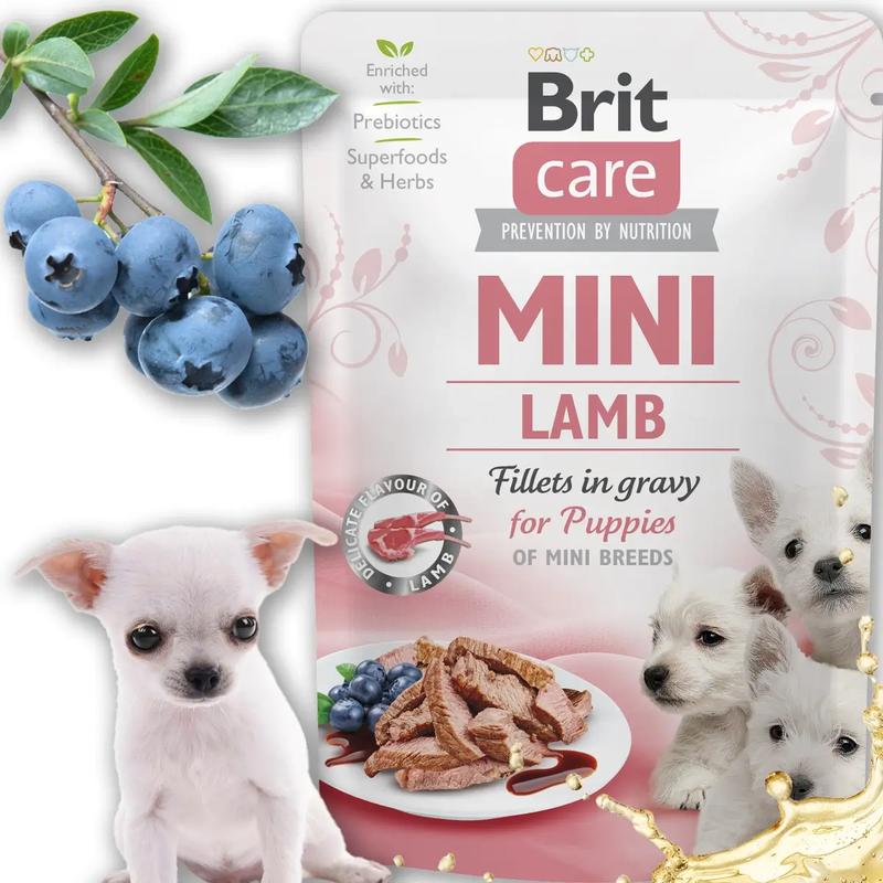 Ilość karmy dla szczeniaka