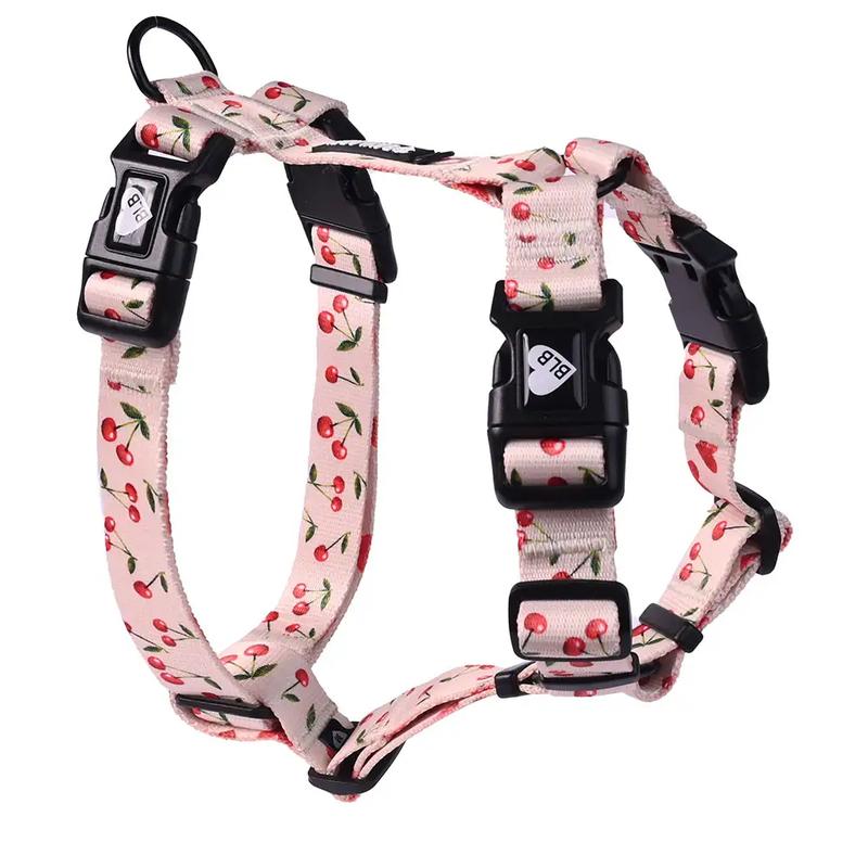 Komfort i bezpieczeństwo psa