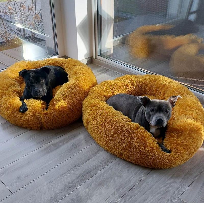 Legowisko dla labradora