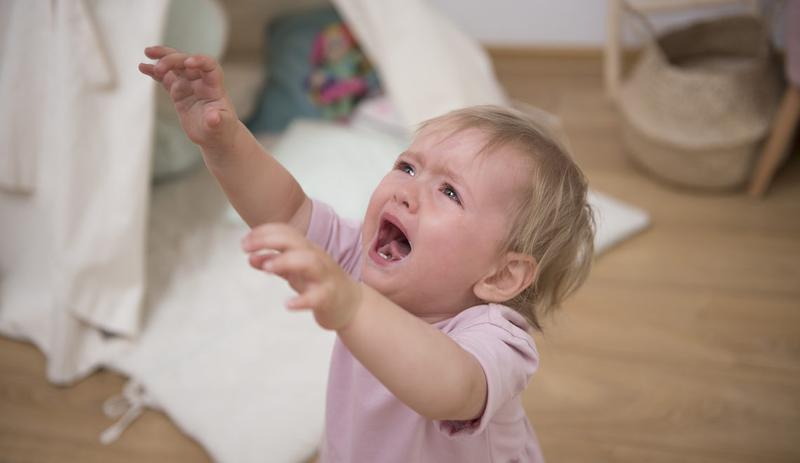 Lęk separacyjny u szczeniąt