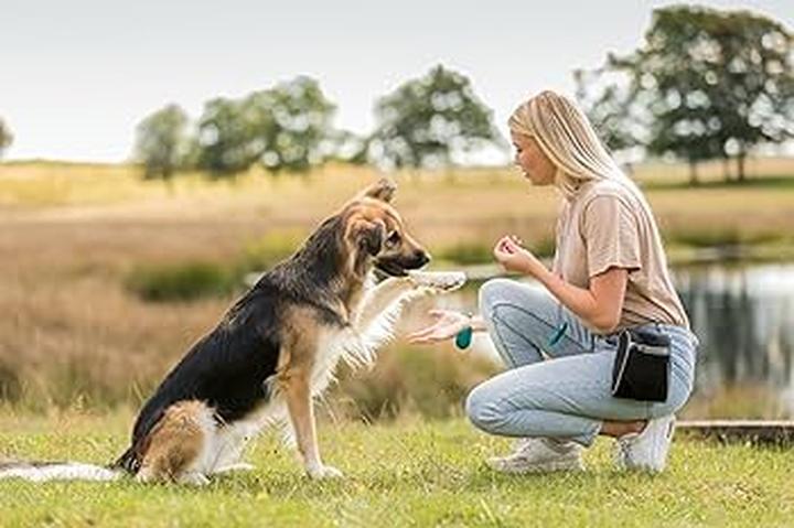 Najczęstsze błędy w tresurze