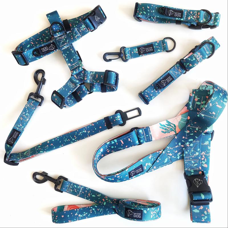 Obroża czy szelki dla jamnika