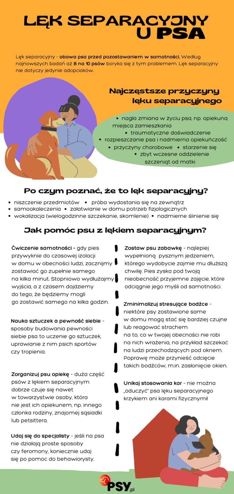 Rola rutyny i środowiska psa