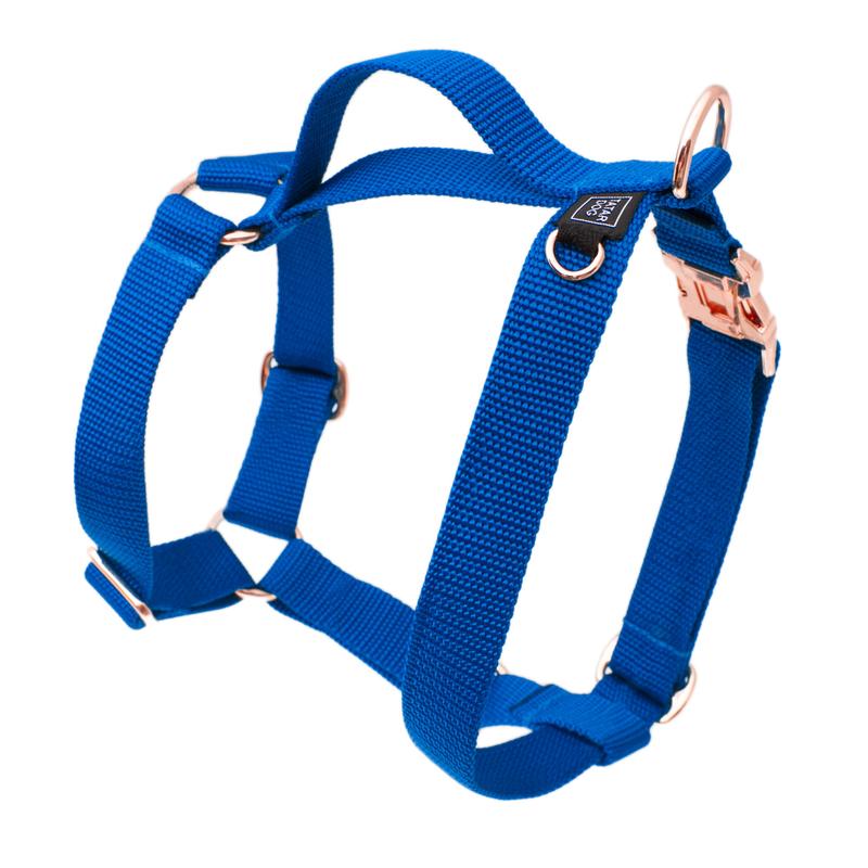 Szelki dla psa projektowanie