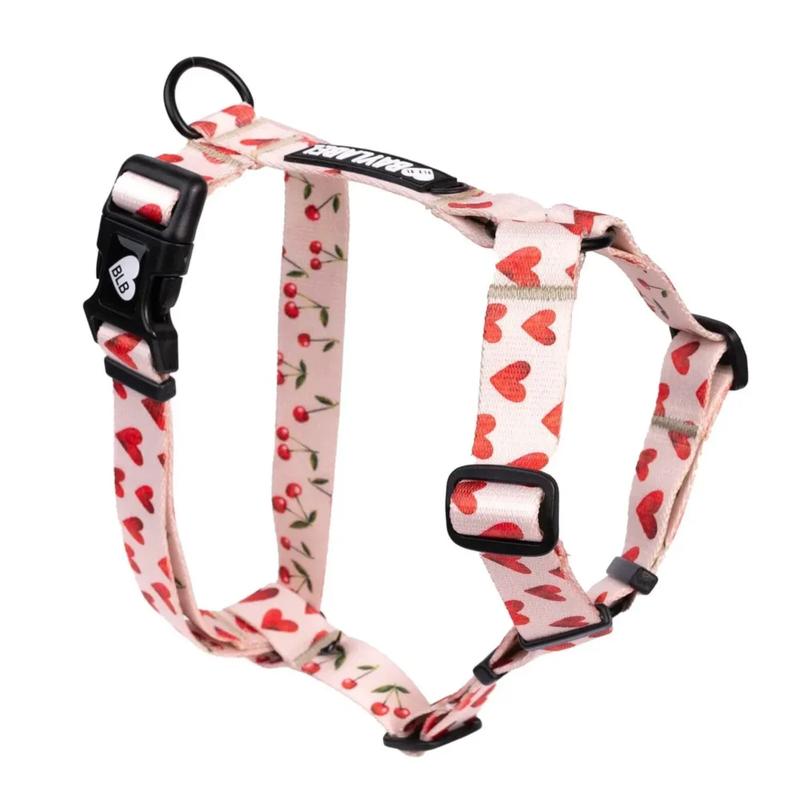 Zdrowie i kręgosłup jamnika