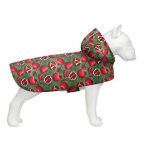 Czy granaty są bezpieczne dla psów? Odkryj ryzyko i zdrowotne skutki