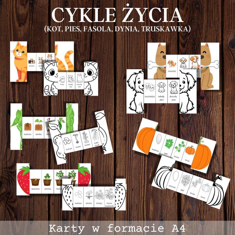 Czy pies może bezpiecznie jeść czerwoną fasolę? Oto, co powinieneś wiedzieć!