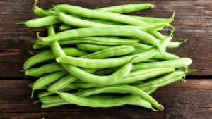 Fasolka szparagowa w diecie psa – najważniejsze informacje dla odpowiedzialnych właścicieli