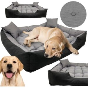 Idealne legowisko dla labradora – jak je wybrać? Sprawdź nasze porady i topowe modele!