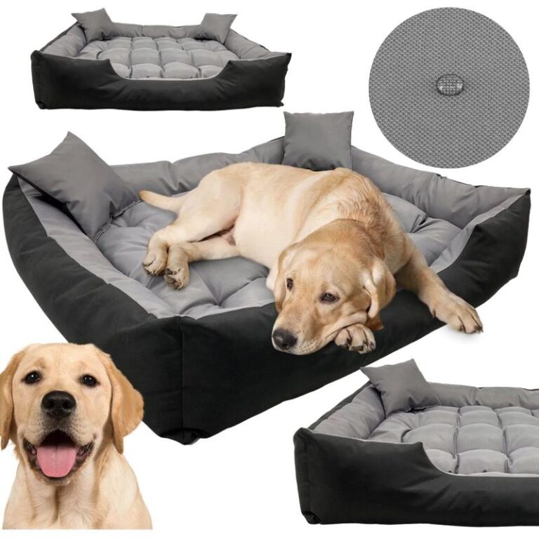 Idealne legowisko dla labradora – jak je wybrać? Sprawdź nasze porady i topowe modele!