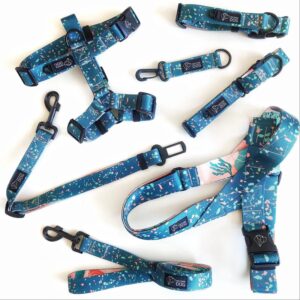 Obroża czy szelki dla jamnika – co będzie lepsze dla zdrowia twojego pupila?