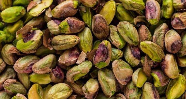 Pistacje w diecie psa – kiedy są bezpieczne i jakie niesią zagrożenia?