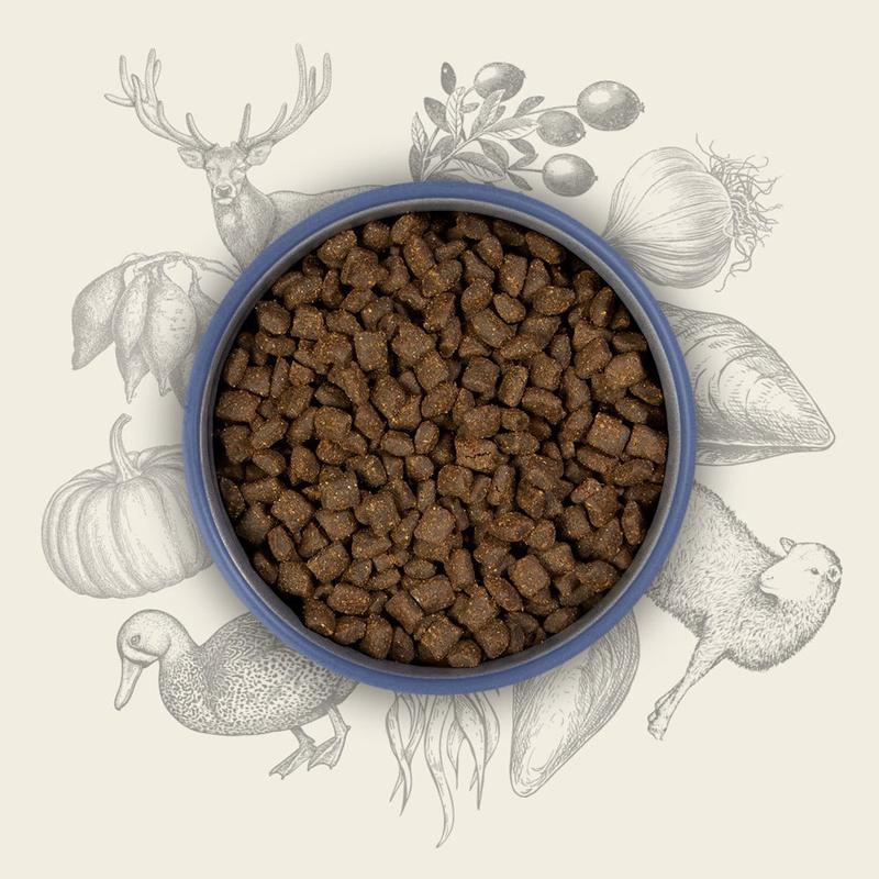 Opinie właścicieli o karmie Eden