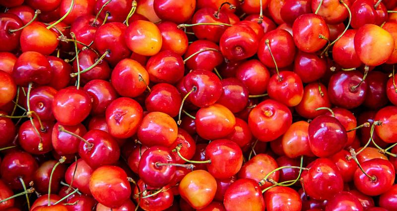 Owoce niebezpieczne dla psów