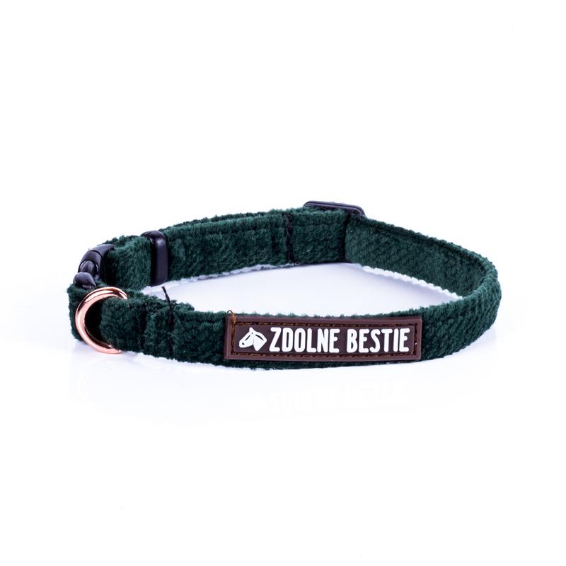 Zakładanie obroży dla kota krok po kroku