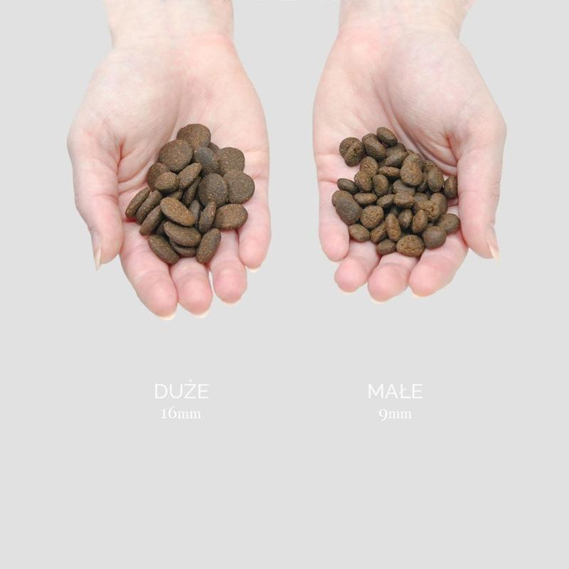 Zdrowie psa i żywienie