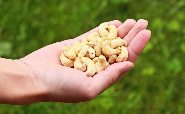 Bezpieczna dawka nerkowców dla psa