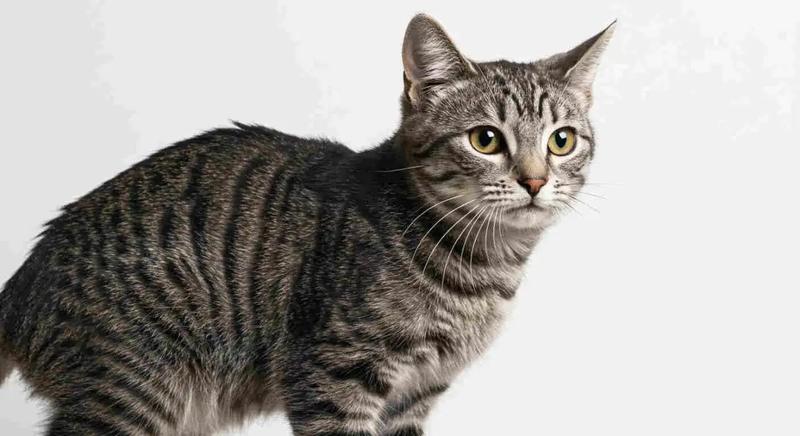 Co to jest i jak działa zastrzyk poronny