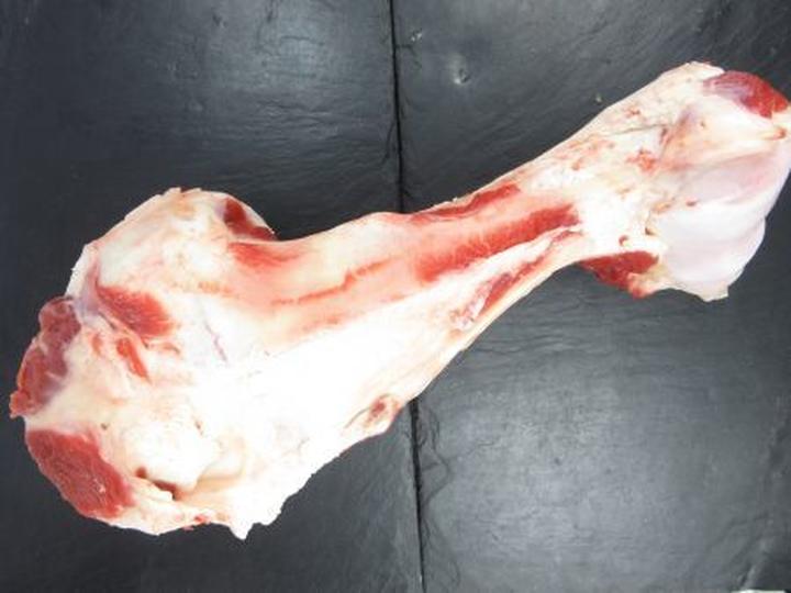 Gdzie kupić kości wołowe dla psa