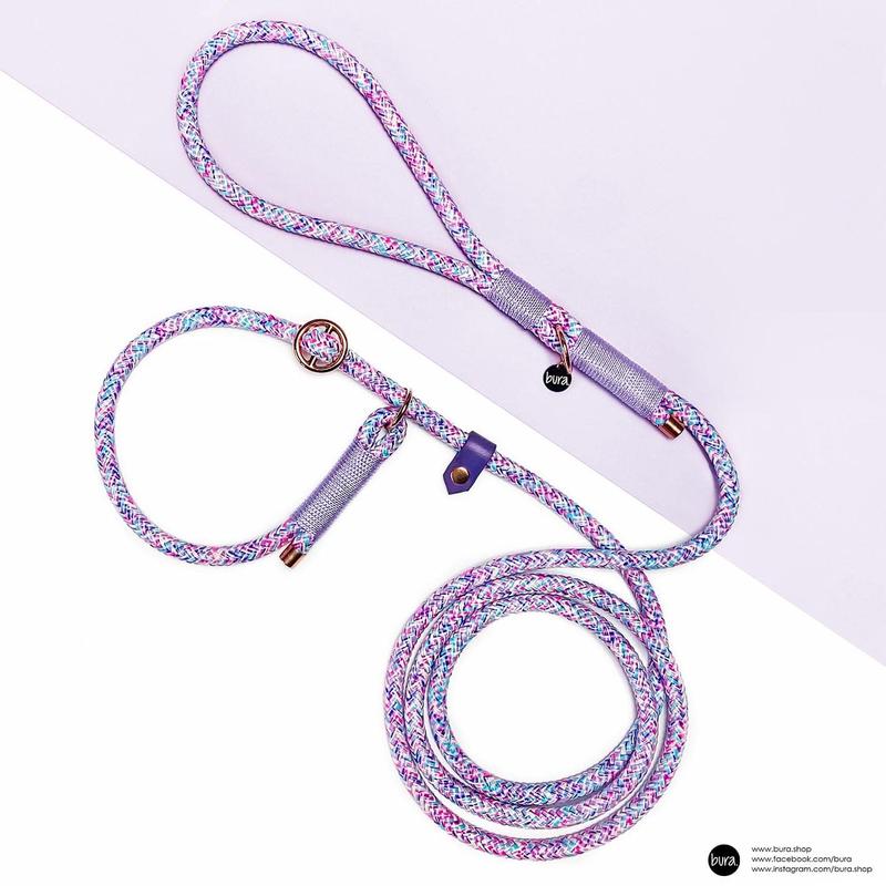 Trening chodzenia na smyczy